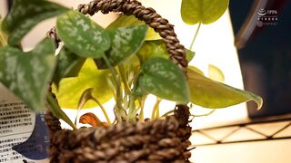 ほのかは夫の社宅暮らし