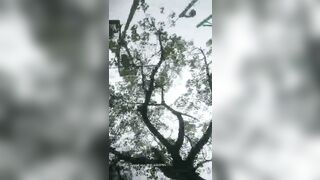 【嫖妓不戴套】4.21炮区扫街连续搞了2炮生活所迫刚出道的良家大波少妇卖肉被曰翻了完事又搞个说话温柔戴眼镜的文化鸡