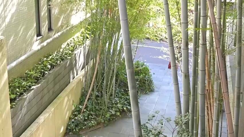 【麻花免费视频】清楚な人妻・相馬茜がエグイ