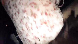 【麻花免费视频】【成都出轨门】太古里房企老板娘和司机偷情！