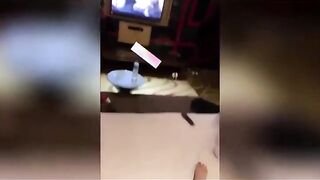 【麻花免费视频】老公破产人妻出轨，手机里被老公发现出轨做爱视频！