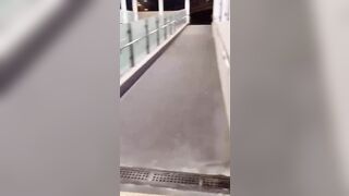 【麻花免费视频】调教港女母狗【Dogma】SM性爱各种啪啪口交