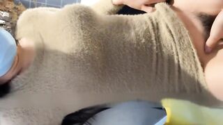 【麻花免费视频】【调教母狗】“求你轻一点我要尿出来了”