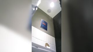 【麻花免费视频】【厕拍精品】被丝袜包裹的翘臀，微微撅起喷尿