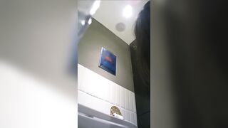 【麻花免费视频】【厕拍精品】被丝袜包裹的翘臀，微微撅起喷尿