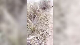 【麻花免费视频】【震惊】镶珠大神与妈妈乱伦被外婆发现后续，卫生间内射布袋大奶