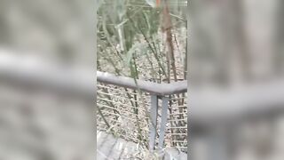 【麻花免费视频】大哥出门进货去了，我偷约嫂子来公园野战