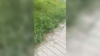 【麻花免费视频】大哥出门进货去了，我偷约嫂子来公园野战