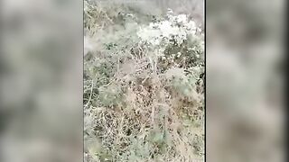 2020.2.12【金莲小仙女】四川妹子到农村田野间勾搭，当着大爷面尿尿，干农活大叔害羞的偷窥，大白臀粉穴颜值高，抠穴撒尿露乳房