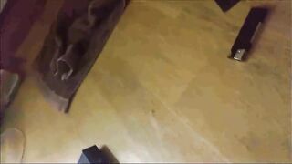 69騎乘後入嘗試各種體位幹得浪叫連連 1080P高清無水印